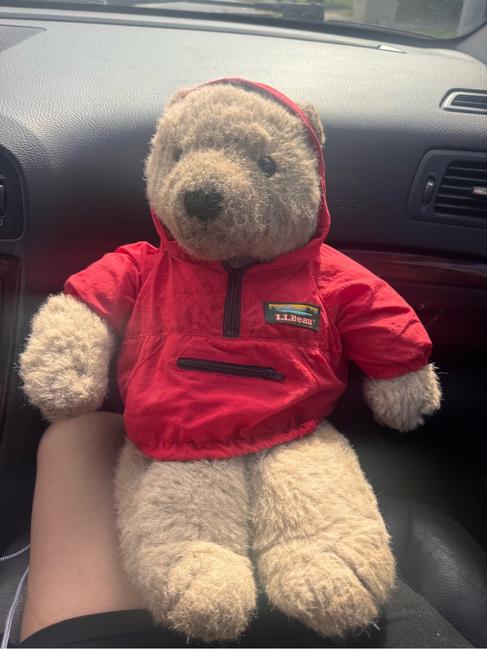 L.L. Bean Red Hooded Teddy Bear Plush